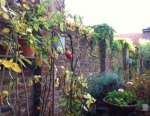 Gartenmauer-Stück